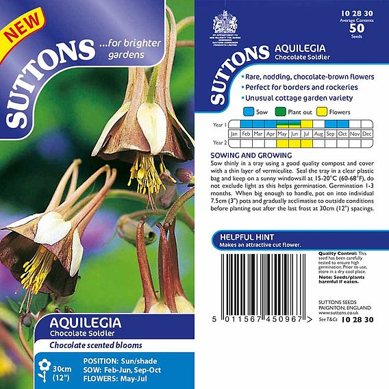Aquilegia 'Chocolate Soldier' - Seeds
