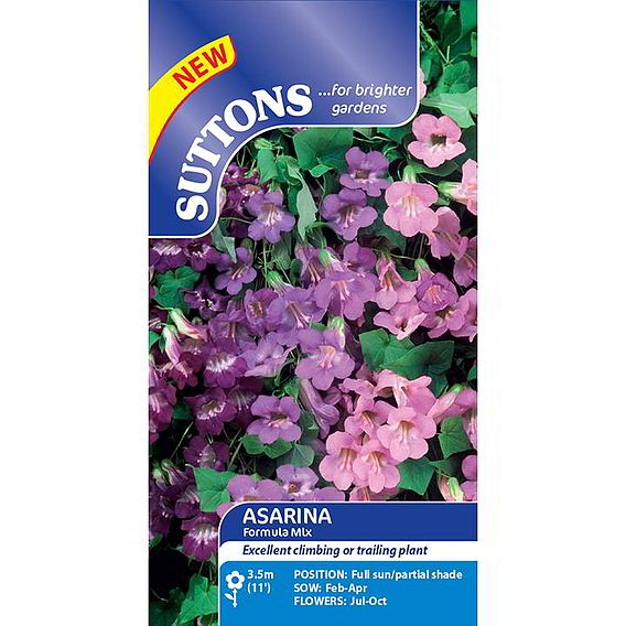 Asarina 'Formula Mix' - Seeds