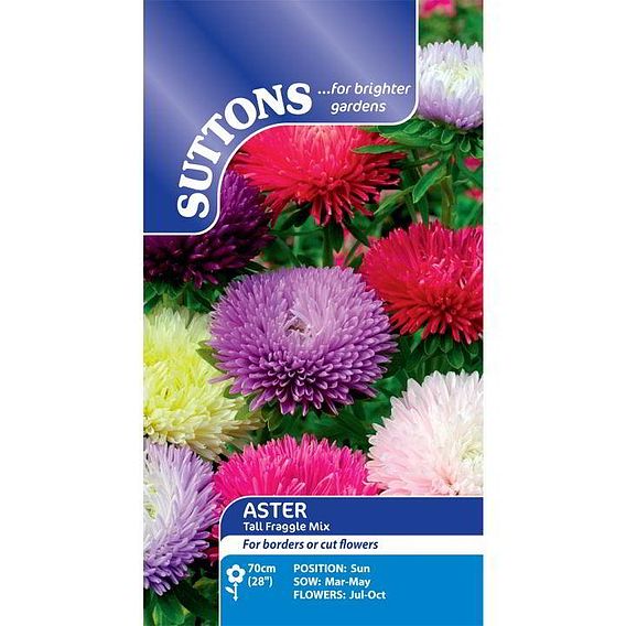 Aster 'Tall Fraggle Mix' - Seeds
