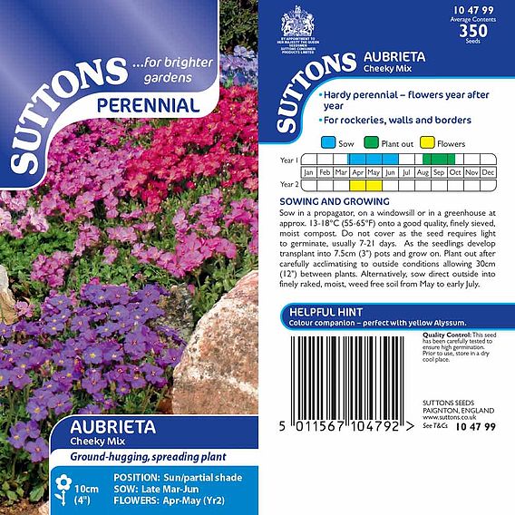 Aubrieta 'Cheeky Mix' - Seeds