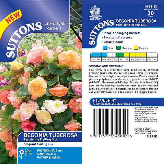 Begonia (Tuberous) 'Parisienne Trailing Mix' - Seeds