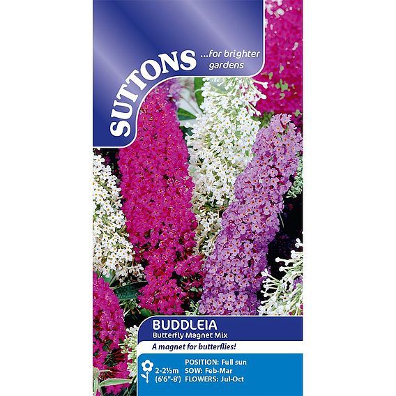 Buddleia 'Butterfly Magnet Mix' - Seeds