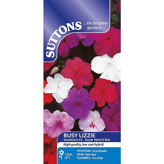 Impatiens 'Super Hybrid Mix' - Seeds