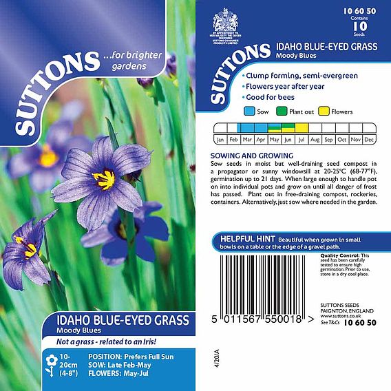 Idaho Blue-Eyed Grass 'Moody Blues' - Seeds