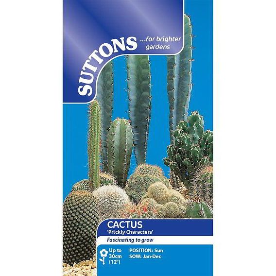Cactus 'Prickly Characters' - Seeds