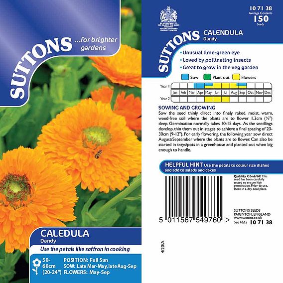 Calendula 'Dandy' - Seeds