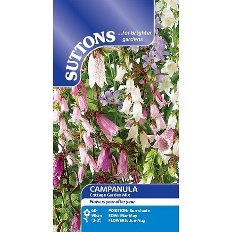 Campanula 'Cottage Garden Mix' - Seeds