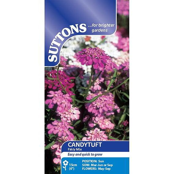 Candytuft 'Fairy Mix' - Seeds