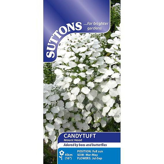 Candytuft Seeds - Mount Hood