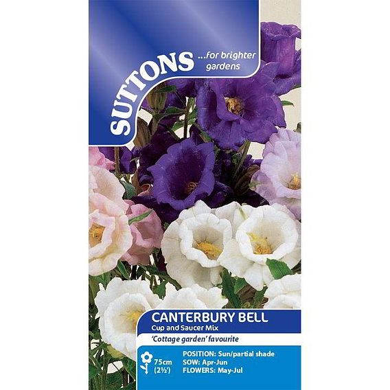 Canterbury Bell Seeds - Cup and Saucer Mix