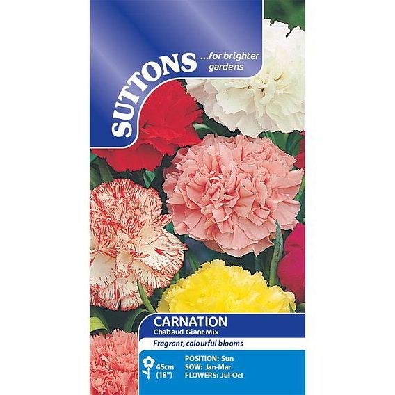 Carnation Seeds - Chabaud Giant Mix