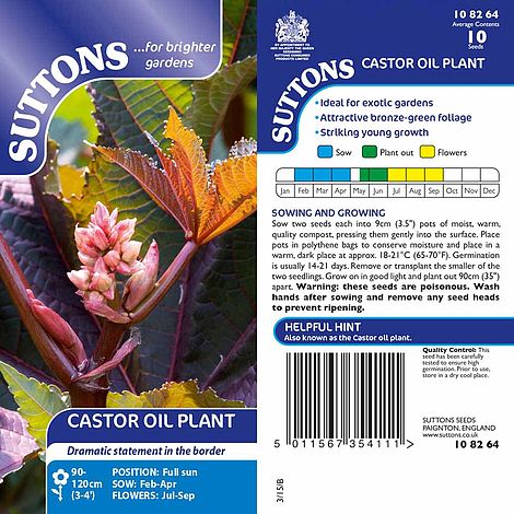 Castor Oil Plant - Seeds