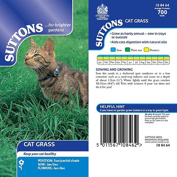 Cat Grass - Seeds