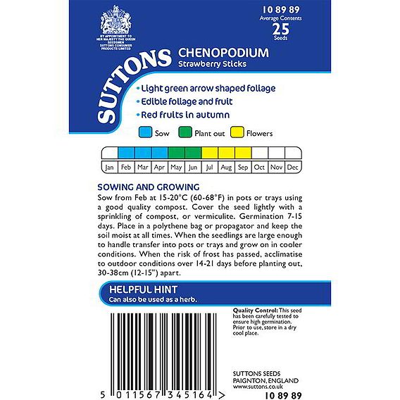 Strawberry 'Strawberry Sticks (Chenopodium)' - Seeds