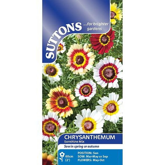Chrysanthemum carinatum 'Sunshine Mix' - Seeds
