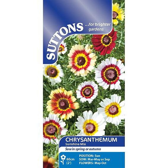 Chrysanthemum carinatum Seeds - Sunshine Mix