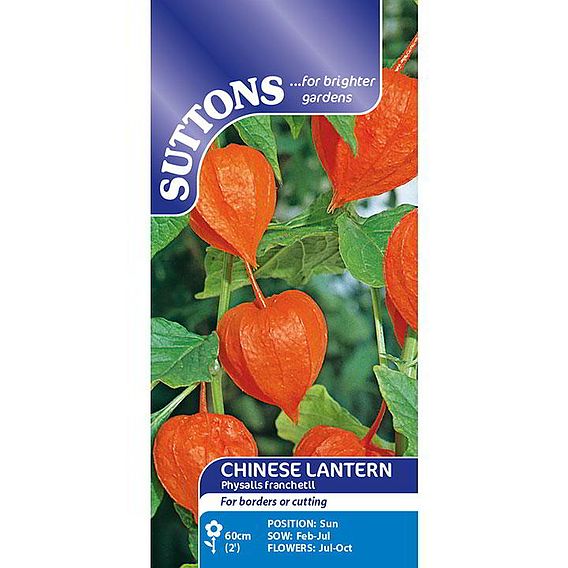 Chinese Lantern - Seeds