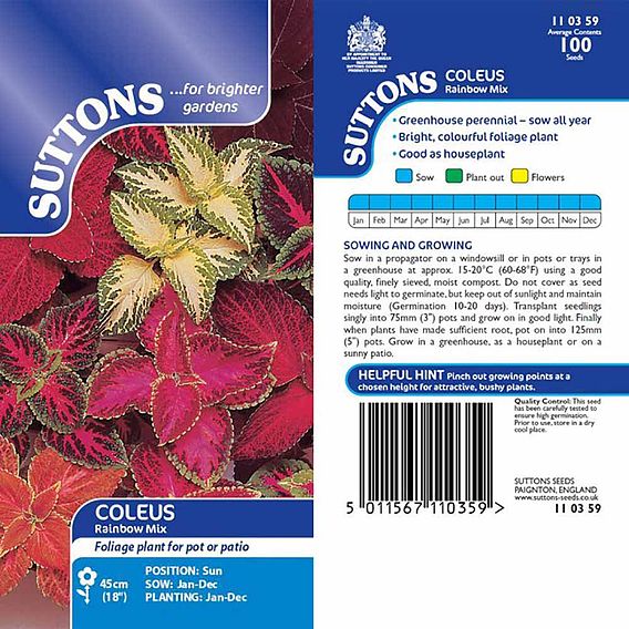 Coleus 'Rainbow Mix' - Seeds
