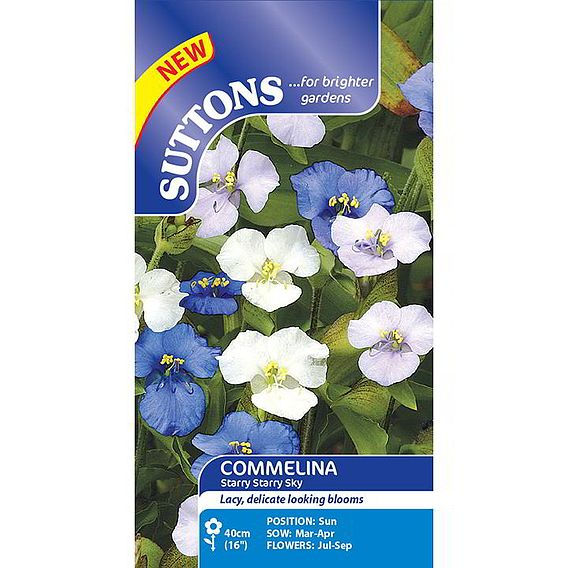 Commelina 'Starry Starry Sky' - Seeds
