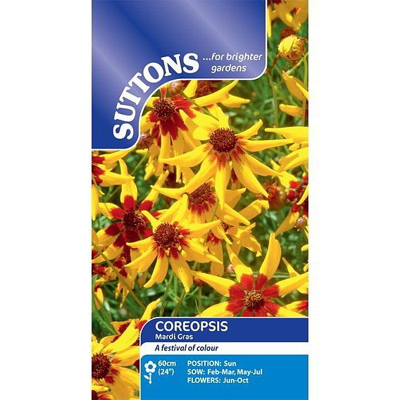 Coreopsis 'Mardi Gras' - Seeds