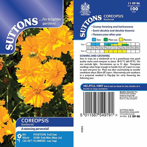 Coreopsis 'Sunburst' - Seeds