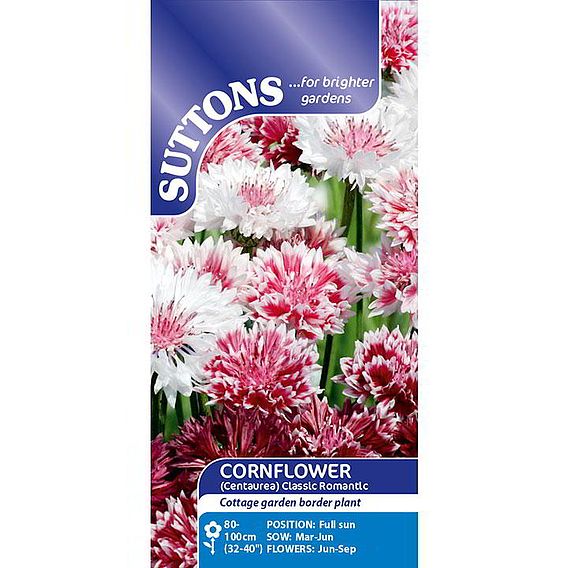 Cornflower 'Classic Romantic' - Seeds
