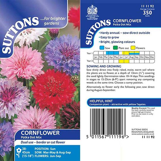 Cornflower Seeds - Polka Dot Mix