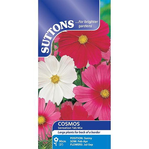 Cosmos 'Sensation Tall Mix' - Seeds