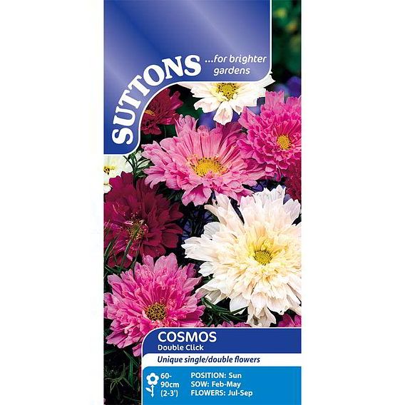 Cosmos 'Double Click' - Seeds
