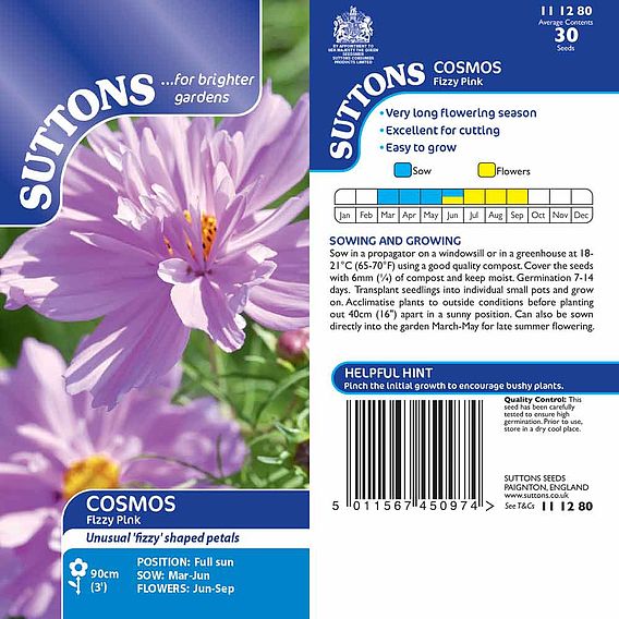 Cosmos 'Fizzy Pink' - Seeds