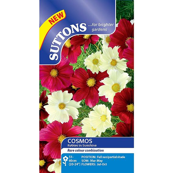 Cosmos 'Rubies in Sunshine' - Seeds