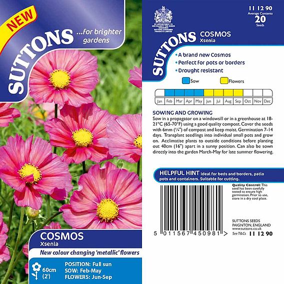 Cosmos 'Xsenia' - Seeds