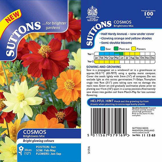 Cosmea 'Brightness Mix' - Seeds