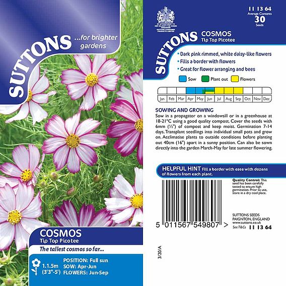 Cosmos 'Tip Top Picotee' - Seeds