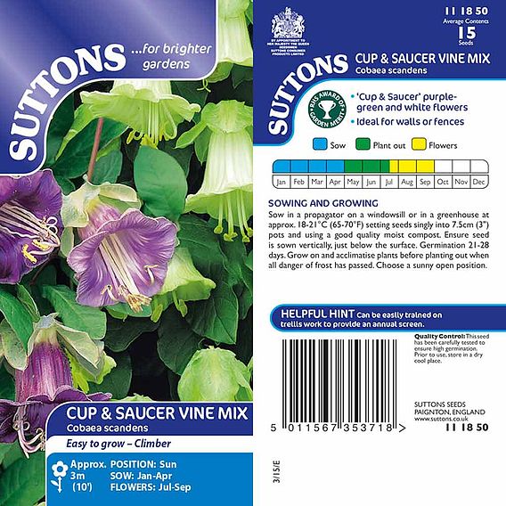 Cup and Saucer (Cathedral Bells) - Seeds
