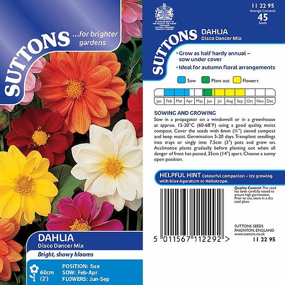 Dahlia 'Disco Dancer Mix' - Seeds