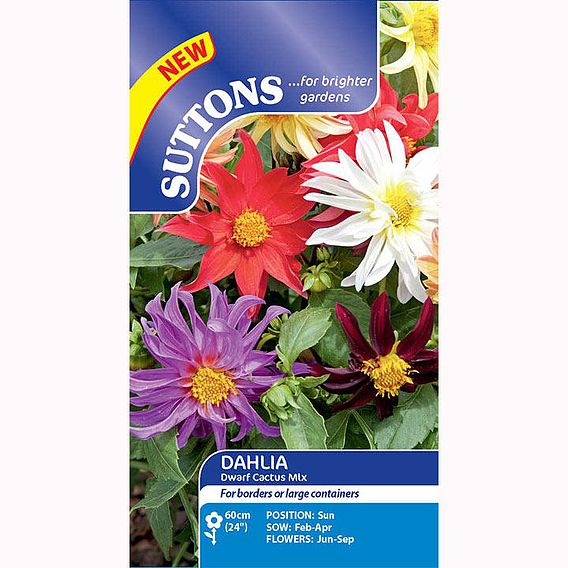 Dahlia Seeds - Dwarf Cactus Mix