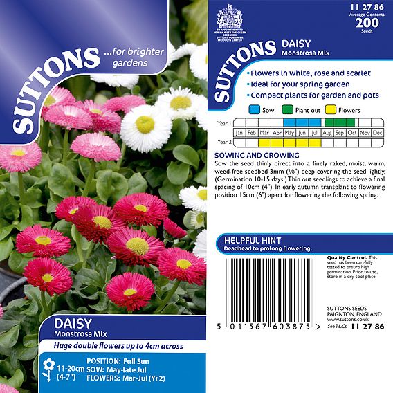 Daisy 'Monstrosa Mix' - Seeds