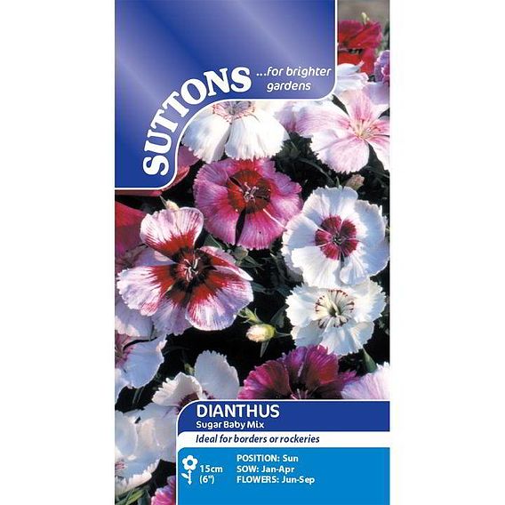 Dianthus Seeds - Sugar Baby Mix