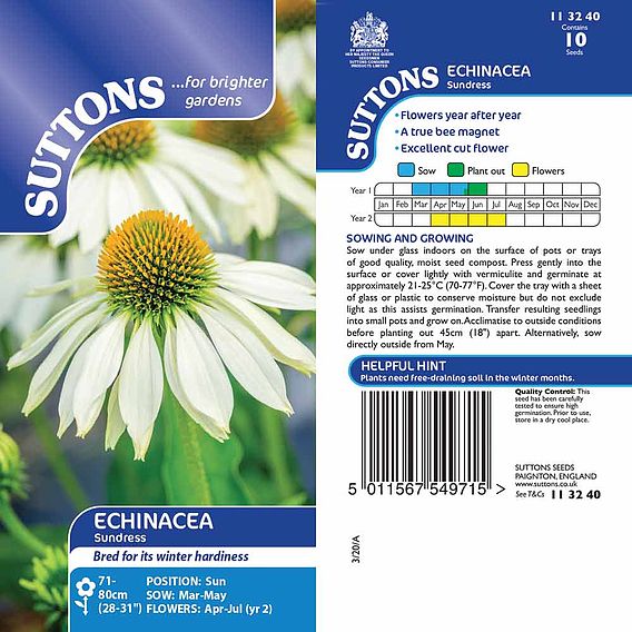 Echinacea Seeds - Sundress