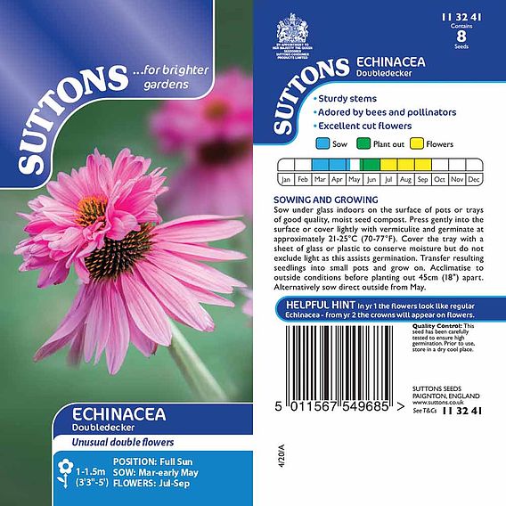 Echinacea Seeds - Doubledecker