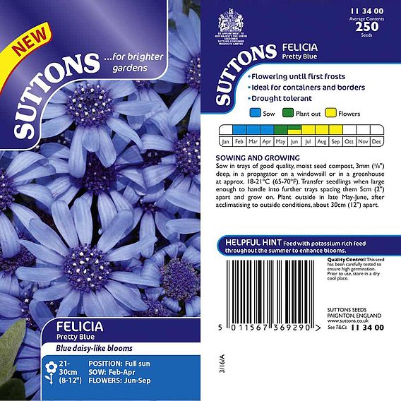 Felicia 'Pretty Blue' - Seeds