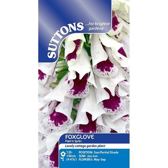 Digitalis 'Pam's Split' - Seeds