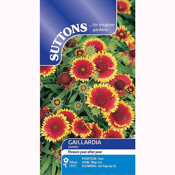 Gaillardia 'Goblin' - Seeds