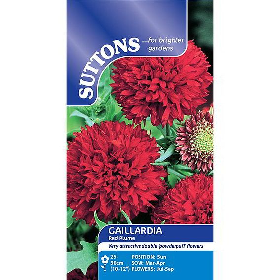 Gaillardia Seeds - Red Plume