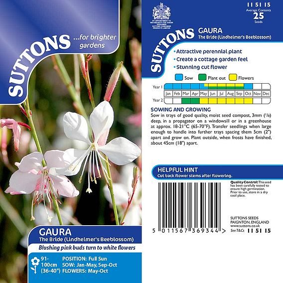 Gaura 'The Bride' - Seeds