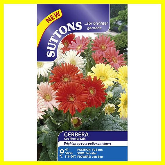 Gerbera Seeds - Cut Flower Mix