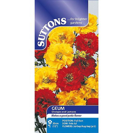 Geum 'Oranges and Lemons' - Seeds