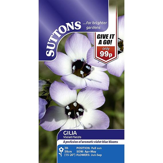 Gilia 'Violet Fields' - Seeds