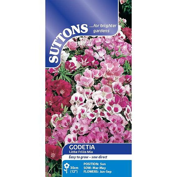 Godetia 'Little Frills Mix' - Seeds